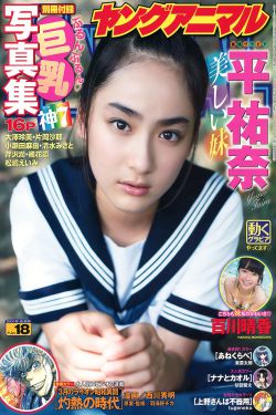 燕钗半落 琥珀糖(NPC)